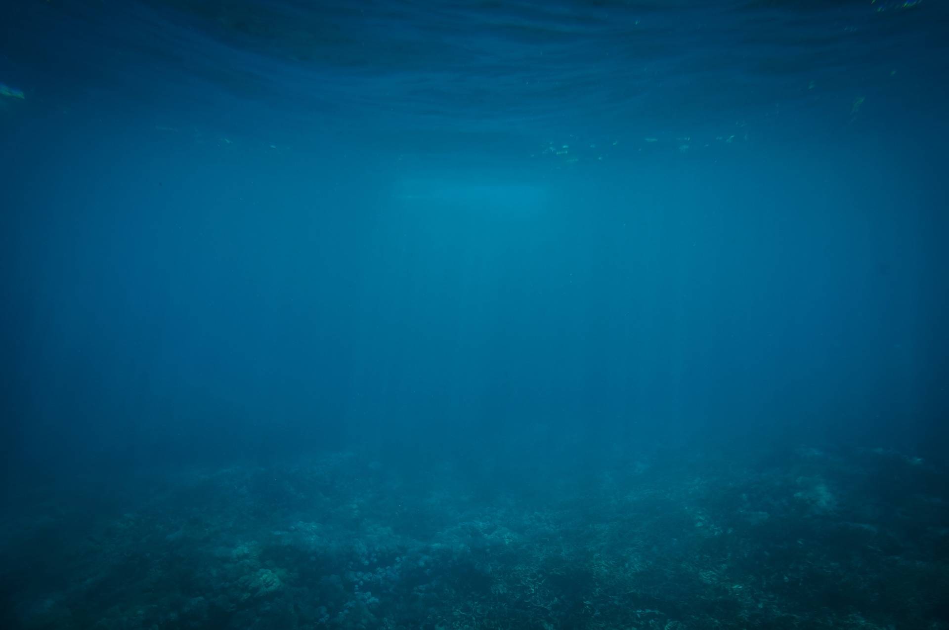 探測(cè)溶于水的二氧化碳濃度，可以探勘存在于表層海床的可燃冰